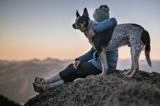 Photo of Person Holding Black And White Dog