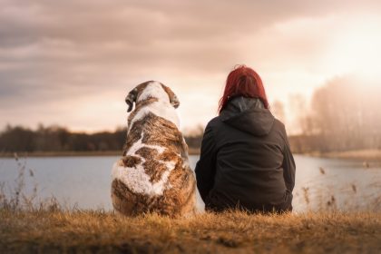 friends, dog, pet